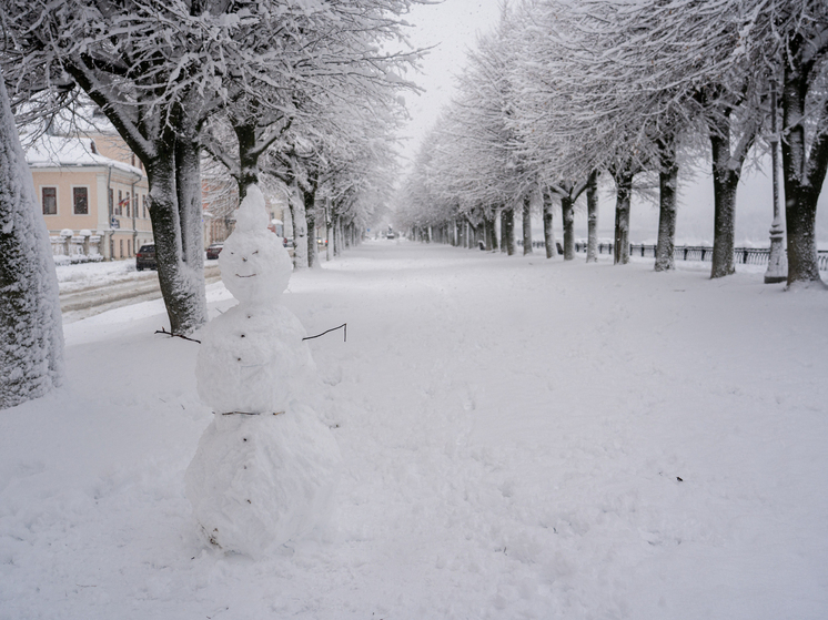 Тверскую область целую ночь будет засыпать снегом