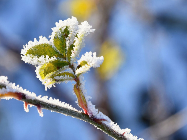 4 градуса тепла прогнозируют в Херсонской области 27 декабря