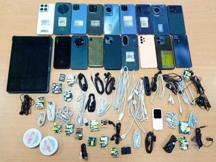 В новосибирской колонии предотвратили попытку провоза партии гаджетов