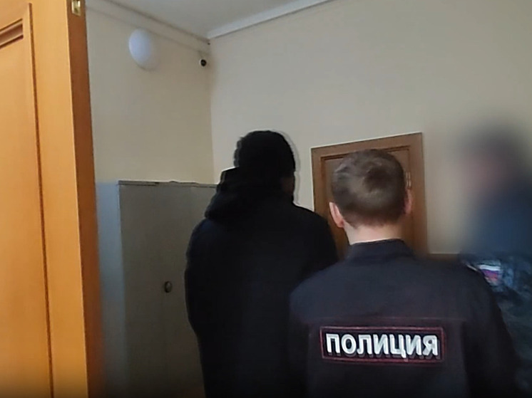 В Ярославле услышали приговор организаторы канала незаконной миграции