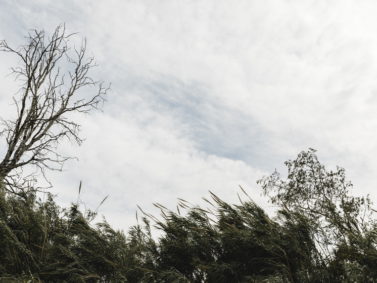 В Херсонской области объявили штормовое предупреждение об опасном явлении