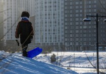 В современном мире, где технологии пронизывают каждый аспект жизни, родители оказались перед сложнейшей дилеммой