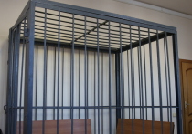 Больше года назад журналистку Анну Гажалу, снимавшую репортажи для федеральных каналов,  поместили в СИЗО,  обвинив в  клевете