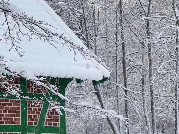 Синоптики предупредили, что скоро в Калининграде ударят морозы и выпадет снег