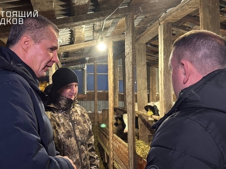 Гладков встретился с заключившим соцконтракт участником СВО