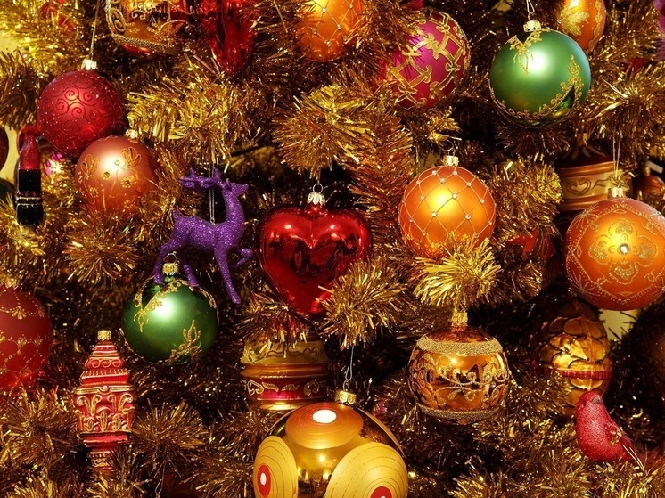 Эксперт Княжская предупредила, что клещи могут проснуться раньше из-за необычно теплой зимы