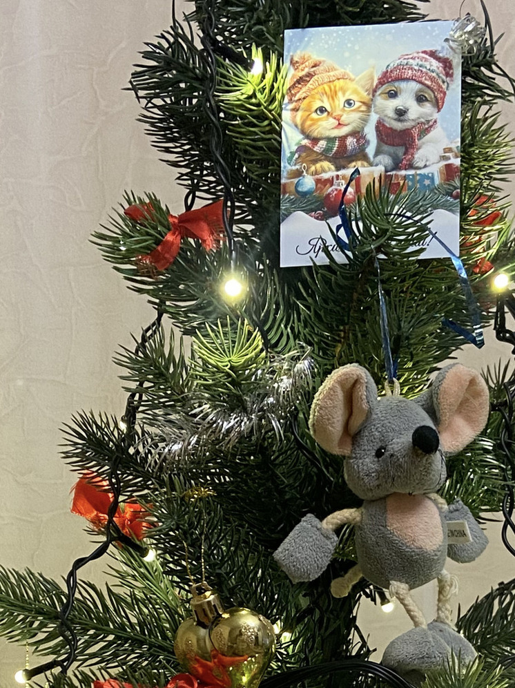 Бердянске Запорожской области поздравили детей с особыми образовательными потребностями