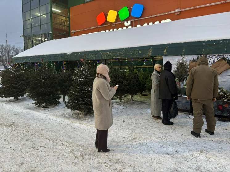 Работу елочных базаров проверили в Октябрьском районе Пензы