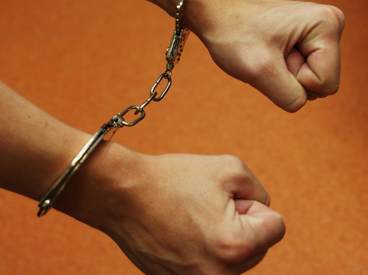 Бывшего сотрудника МИД РФ Коновалова приговорили к 12 годам колонии за госизмену