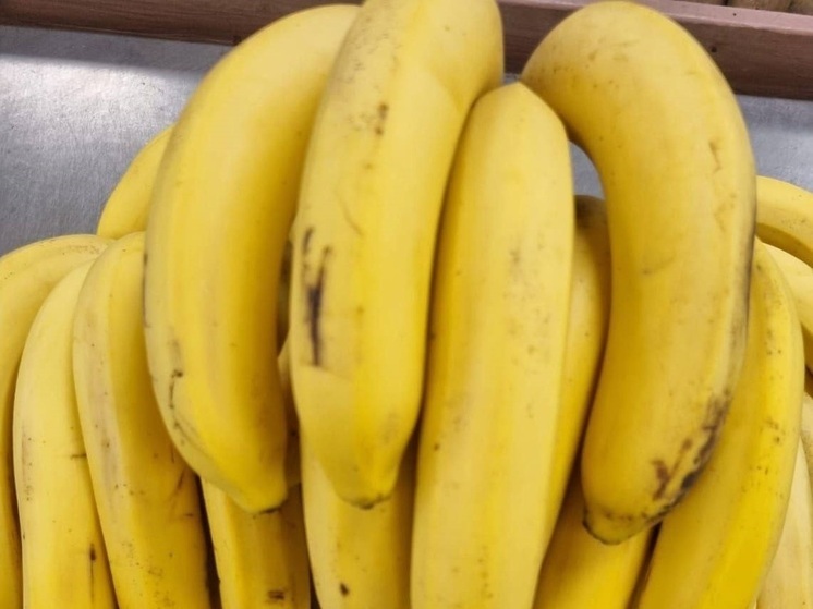 В России зацвели бананы