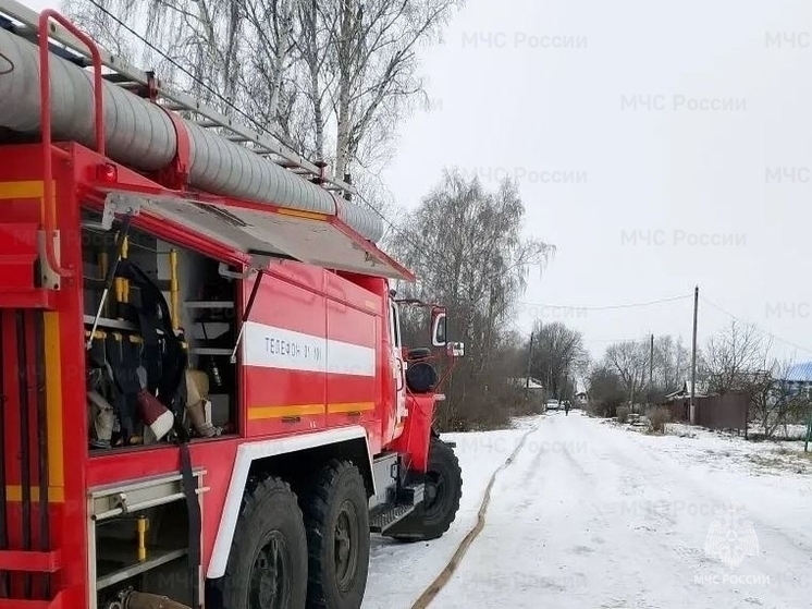 В Орловской области загорелась деревянная хозпостройка