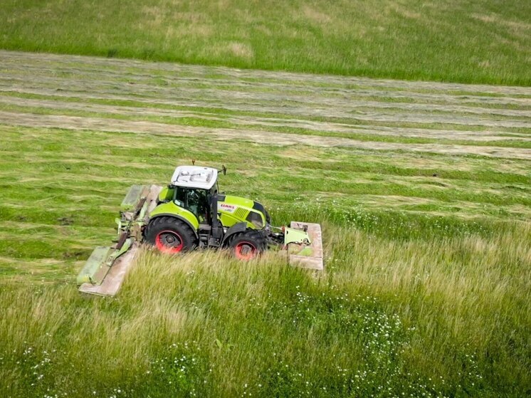 В Башкирии заготовили 708 тысяч тонн сена
