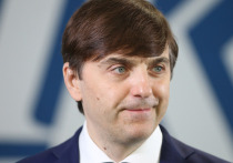 Каждый год в России имеет какую-то тему, она же приоритетное направление государственной политики