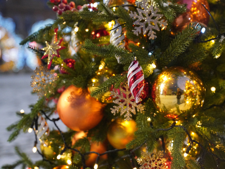 Юрист Воронина раскрыла тулякам аферу с «премиальными» елками под Новый год