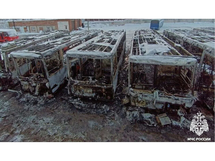 В Вологодском округе в огне пострадали девять автобусов