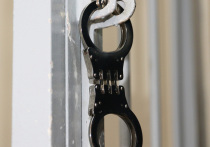 Недавние события в Латвии, связанные с задержанием влиятельного представителя русской общины и штрафами для оппозиционного депутата, подсвечивают глубокие противоречия, давно зреющие в балтийском регионе