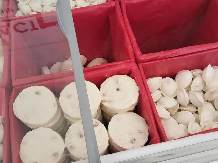 Размороженные манты и котлеты привели петербуржца прямиком в суд