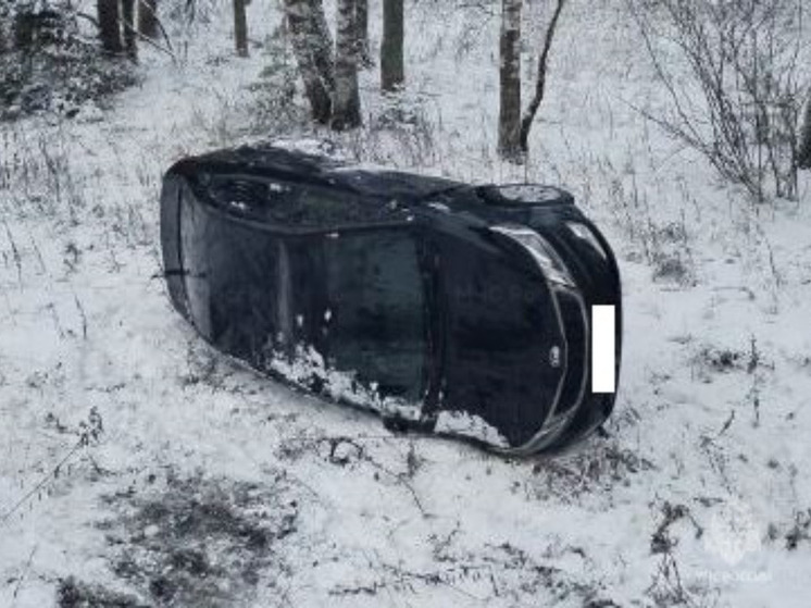 Под Козельском с дороги слетел Kia