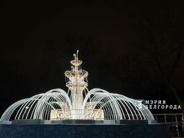 В парке Ленина Белгорода фонтан «Кувшинка» превратили в новогодний арт-объект