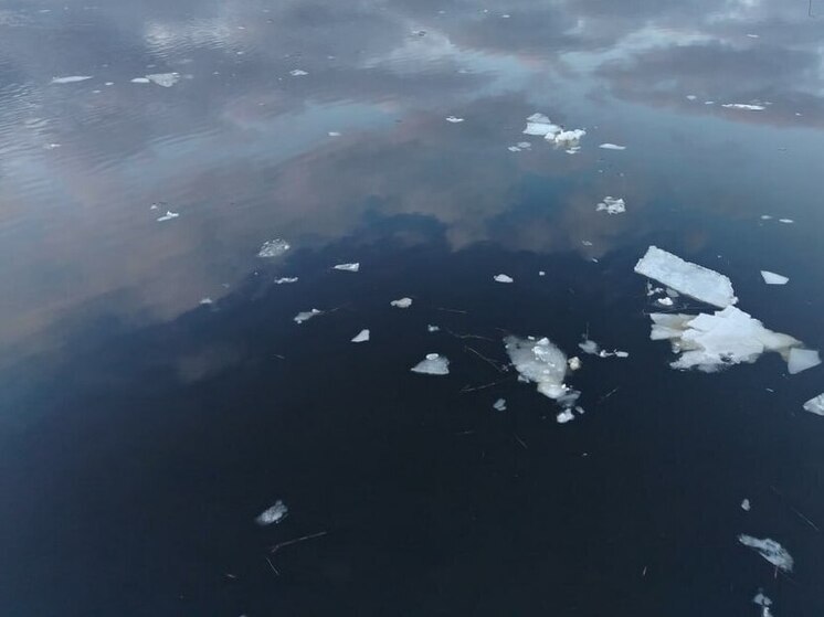 В Лодейнопольском районе затопило пять приусадебных участков