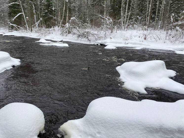 В Петербурге 11-летний мальчик упал в ледяную реку Утку