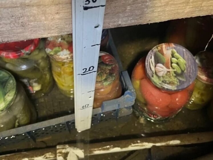 Власти Белова отчитались о стабилизации ситуации с подтоплением