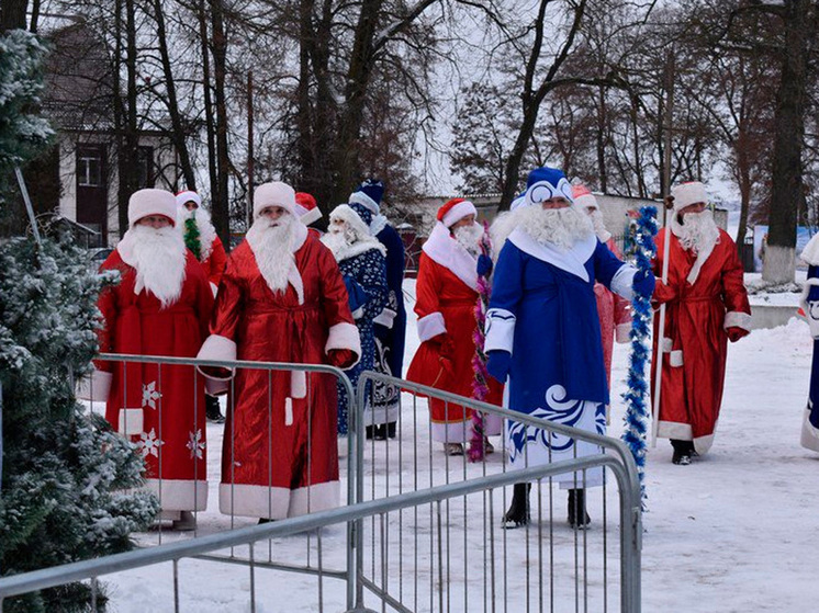 Дед Мороз подарил сказку маленьким жителям Липецкой области