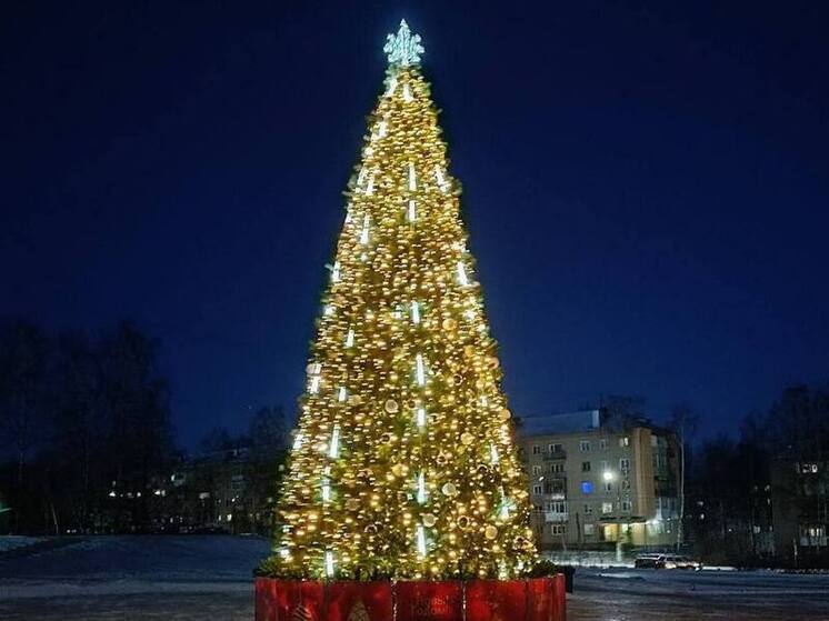 Костромская новогодняя ель поучаствует во всероссийском конкурсе
