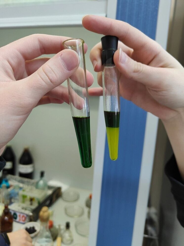 В Мурманской области назвали победителей региональных научных конкурсов