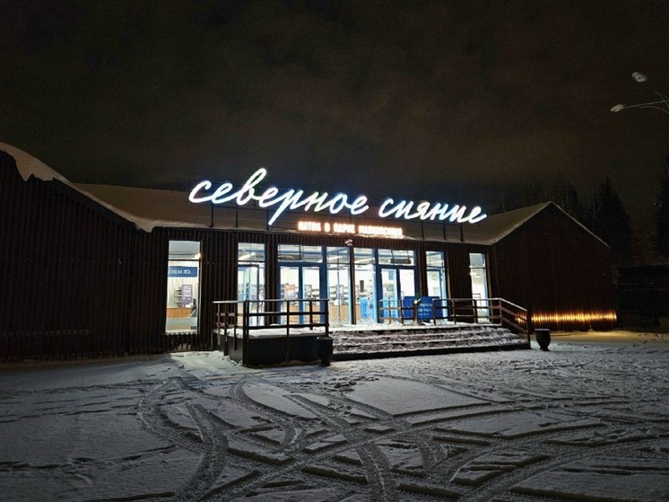 Каток в Парк Маяковского откроется 27 декабря