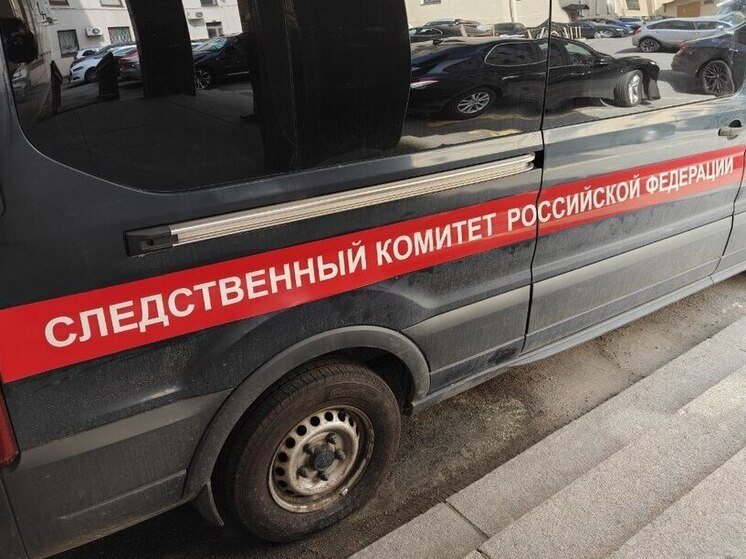 В Зеленогорске начали расследование после падание рабочих на стройке