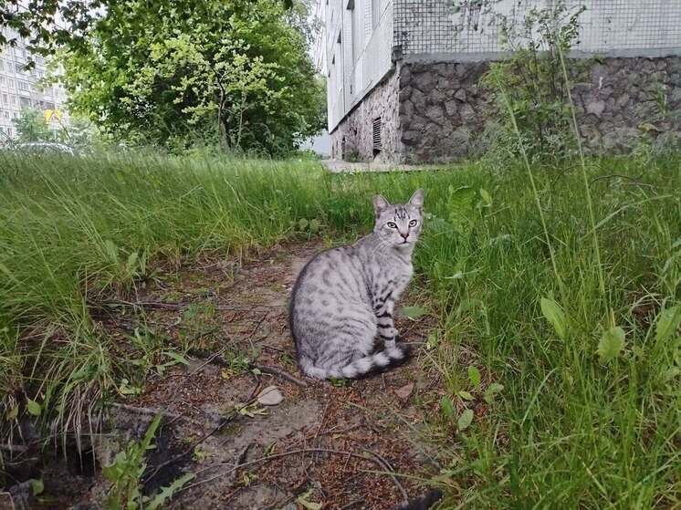 Ветаптекам и ветклиникам напомнили об обязательной маркировке лекарств