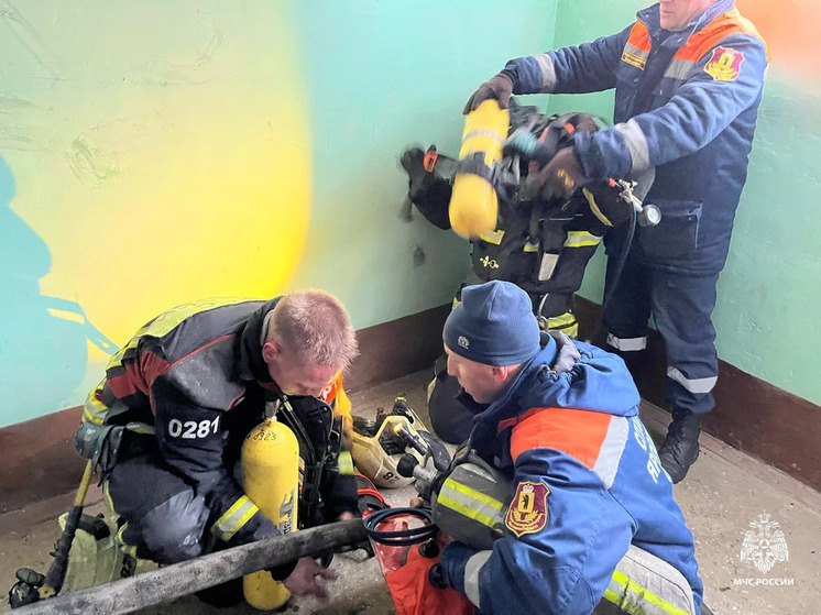 В Переславле пожарные спасли из горящей квартиры 5 человек