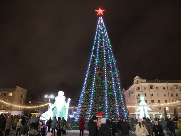 «Полипласт Новомосковск» подарил горожанам новогоднее настроение