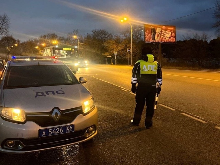 В предпраздничные выходные в Екатеринбурге пройдут рейды «Безопасная дорога»