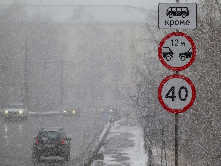 Снег и метель придут в Карелию 27 декабря