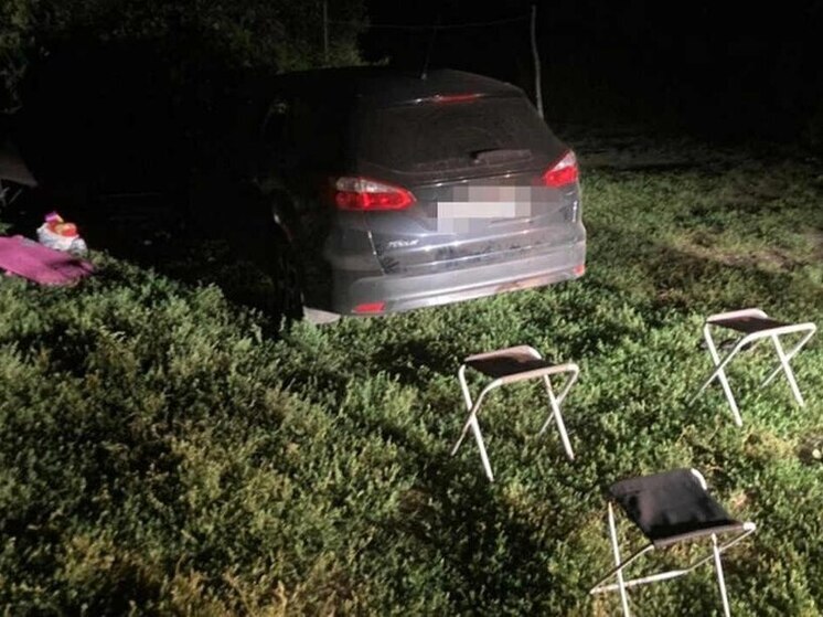 В Воронеже суд вынес окончательное решение по делу о наезде 2-летней девочки