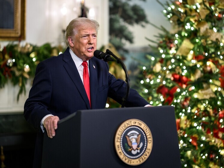 Трамп назвал авиаудар США в Нигерии "рождественским подарком"