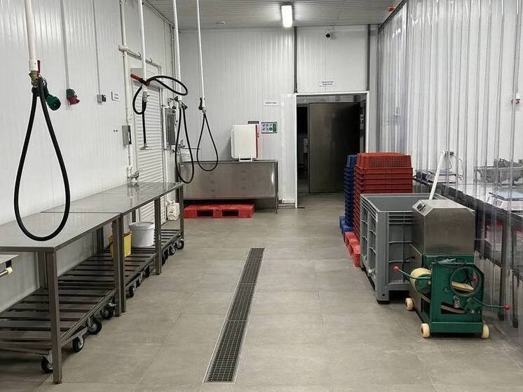 На Ямале запустили современный цех по переработке рыбы