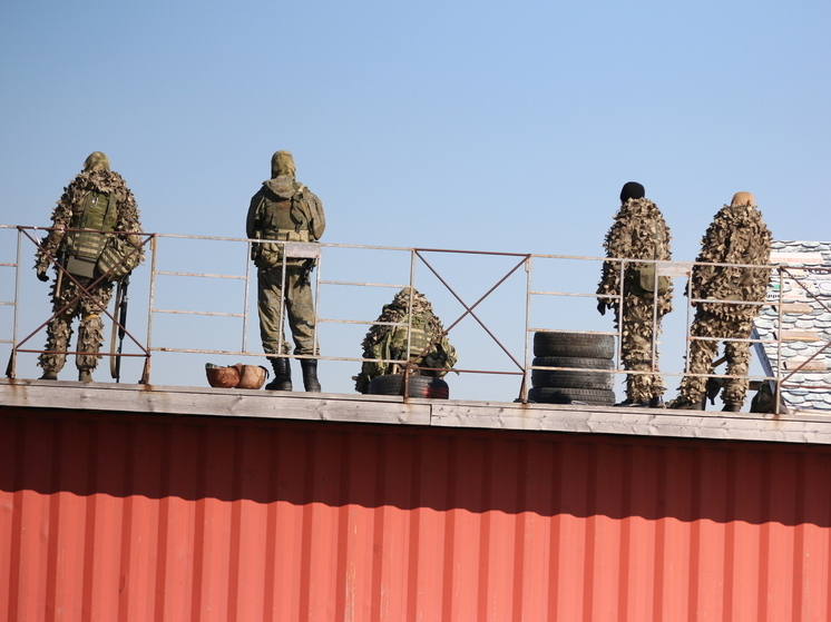 РИА Новости: российские добровольцы создают «рой дронов» для ударов по ВСУ