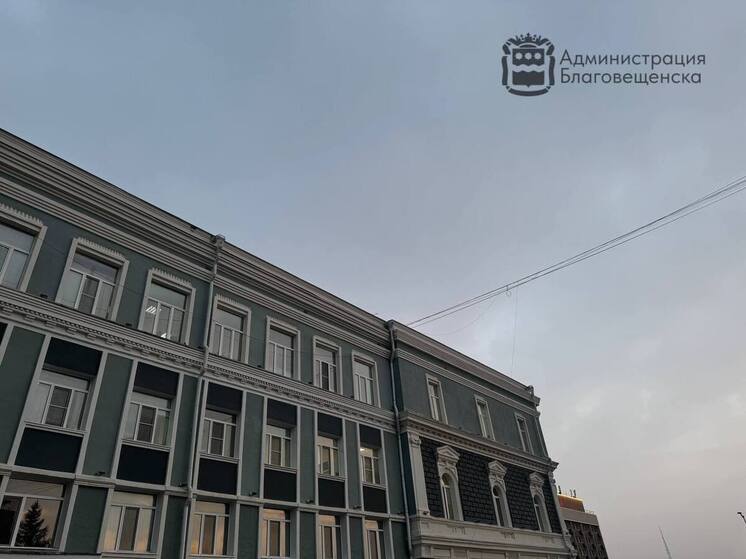 На аукционах Благовещенска представили земли под застройку и садоводство