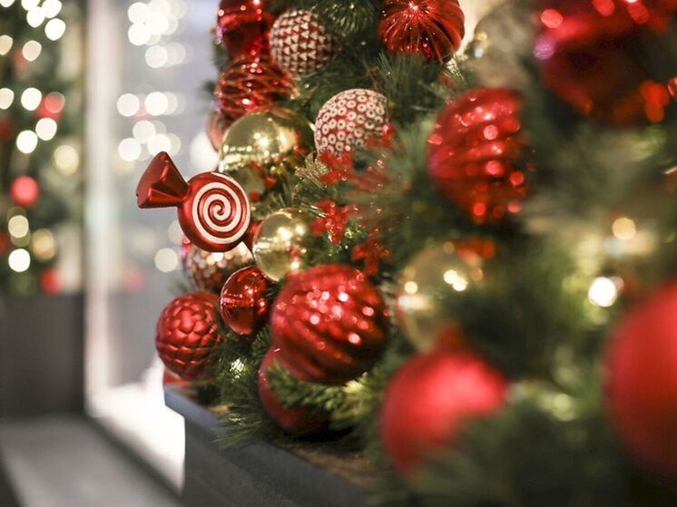 Семейный праздник «Мастерская Деда Мороза» пройдет в парке Крылатские холмы