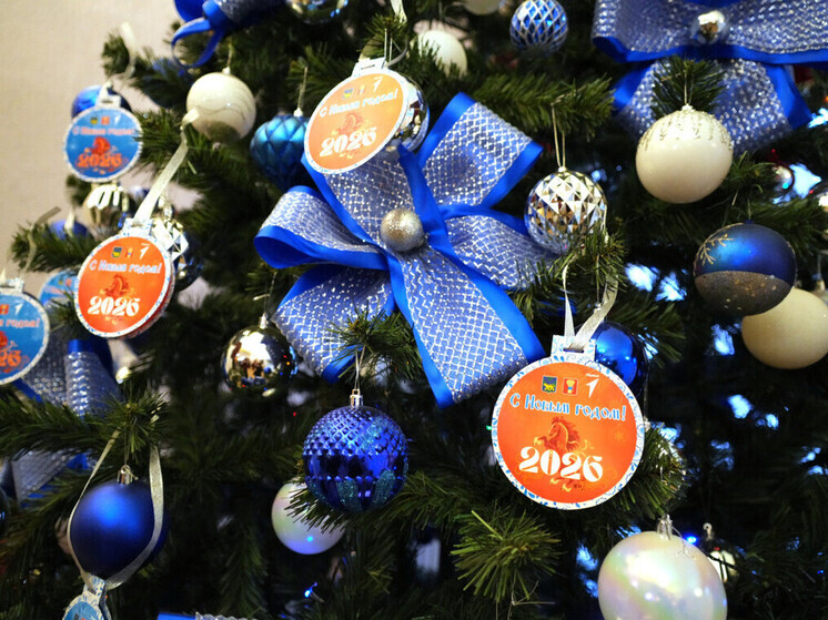 Уссурийцы исполнили новогодние желания детей