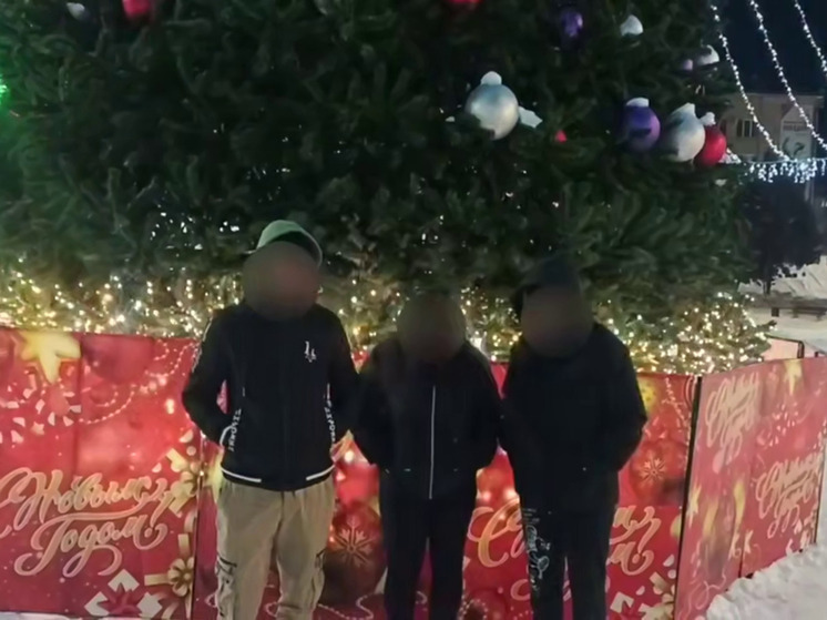 Похитители Нового года: воров шаров с городской елки отловили в Партизанске