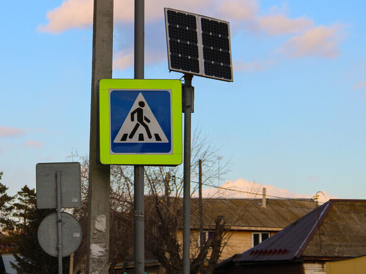 Омичам рассказали, где чаще всего сбивают пешеходов на «зебре»