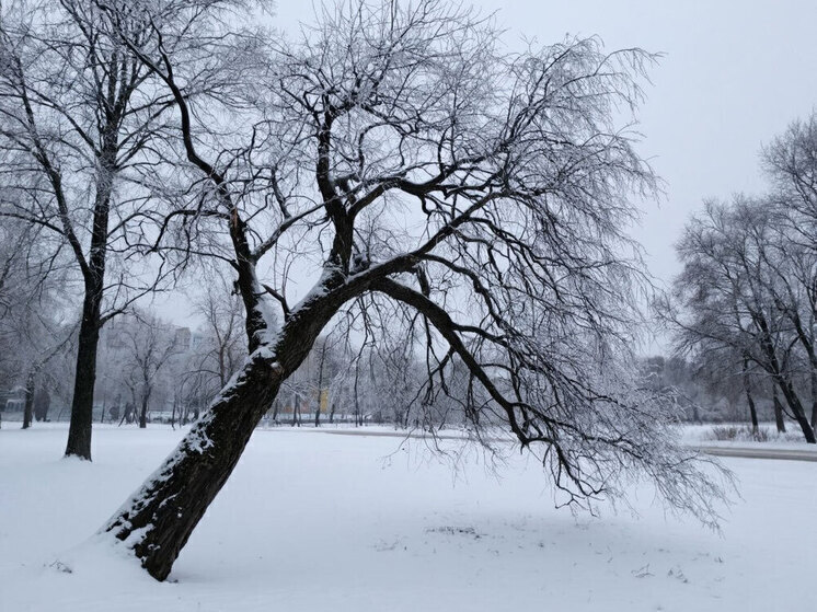 Усиление ветра ожидается в Забайкалье