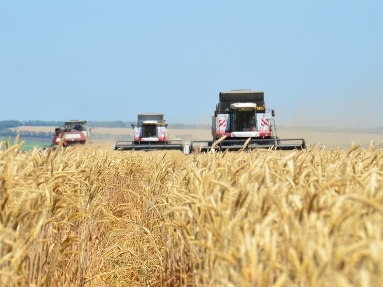 Томская область направила более 1,8 млрд рублей на поддержку аграриев в 2025 году