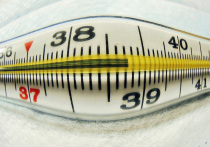 «Очень вырос в целом мире гриппа вирус — три-четыре! — Ширится, растёт заболевание», -- пел Владимир Высоцкий много лет назад. Грипп гуляет по планете и в наши дни. Что особенно некстати в новогодние праздники. Одно дело бюллетенить в рабочую пору, и совсем другое – страдать болезнью на каникулах. Американские специалисты делятся советами насчет того, как противостоять гриппу на новогодних выходных.
