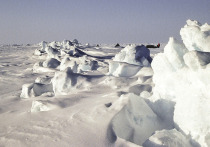 Специалист по внутреннему устройству Земли утверждает, что на нашей планете на самом деле существует два северных полюса, и перемещение одного из них может незаметно нарушить путешествия людей в глобальном масштабе.
