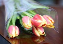 В социальных сетях набирает популярность новый тренд — хвастовство «молодым человеком, который прилагает много усилий». Женщины выкладывают видео, где подробно перечисляют, как их партнёры организуют им идеальную жизнь: от ежедневных цветов и оплаты всех счетов до заполнения бензобака и записи к маникюрше.